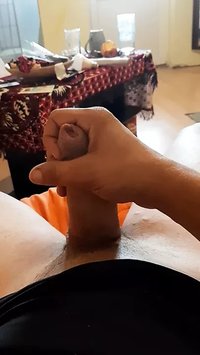 Paw romania