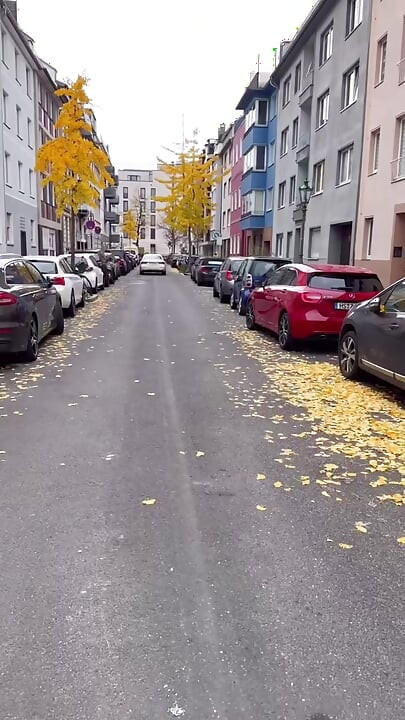 Public Walk and Flashing in Lingerie and Stockings