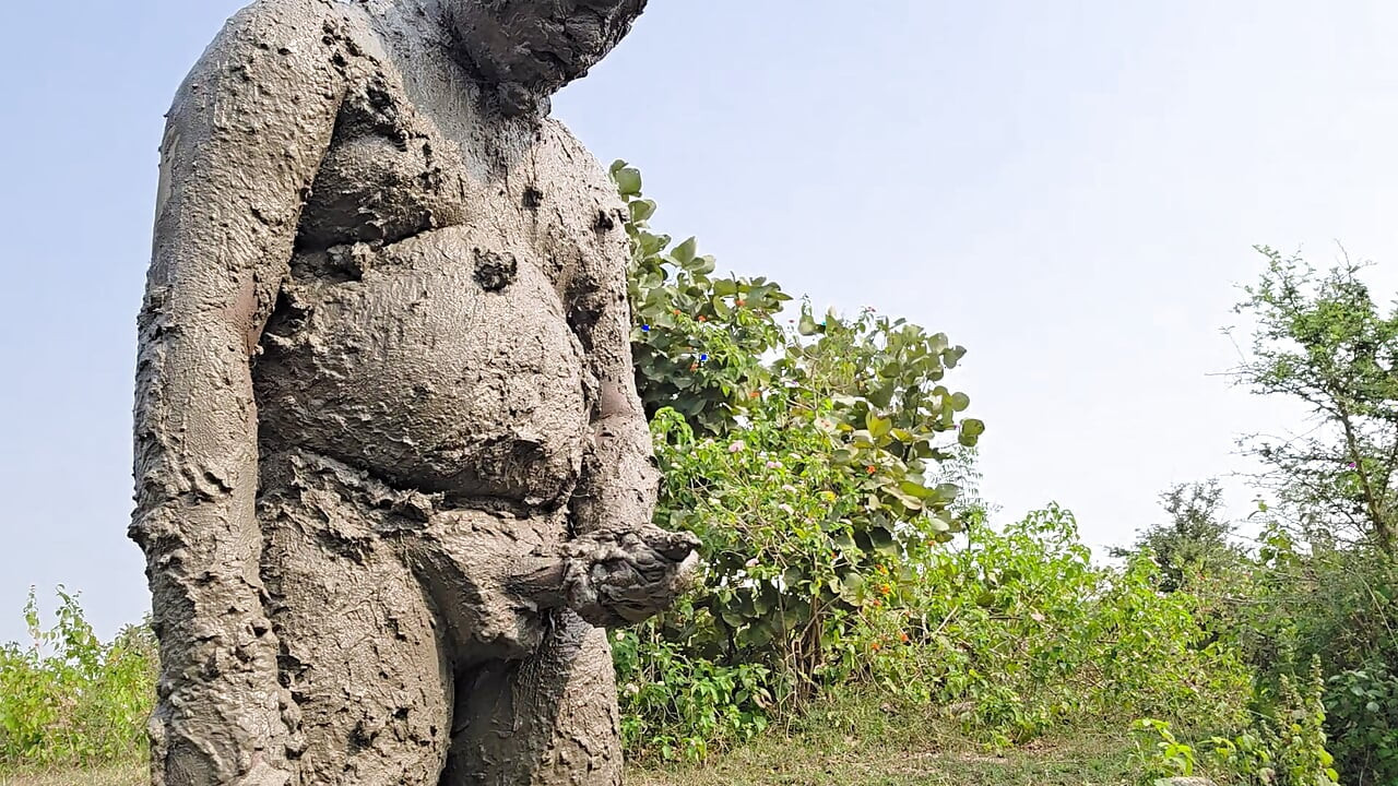 泥で泥がジャンガルを楽しんだ