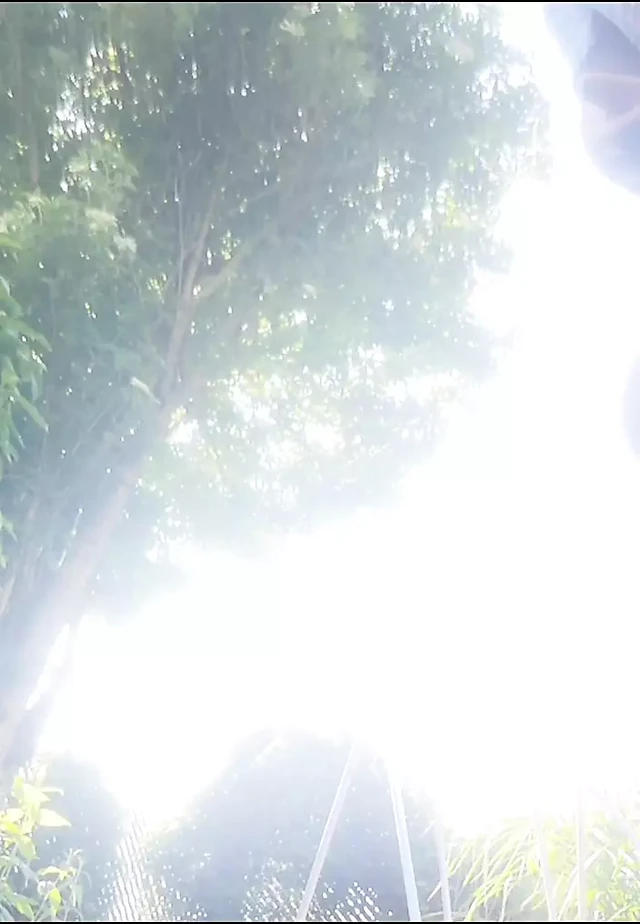 Pissing in the garden