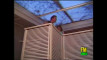 Pregled videozapisa