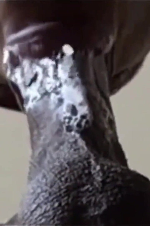She Keeps Sloppily Sucking an Slurping Dick While It Nuts! in Her Mouth!!!