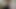 チリーが自分を詰め込む