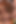 Analsex in gruppensex mit zwei blonden schlampen mit dicken titten