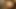 Young Latin cutie Melody Ann with slant eyes likes to comb for a while her hairy bush with massive pecker