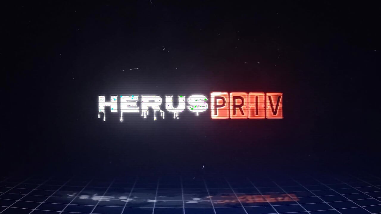 Mijn Priv-model wil leren van zijn producent