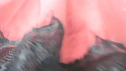 havadar