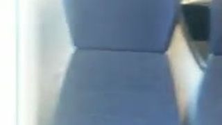 Gordita en el tren