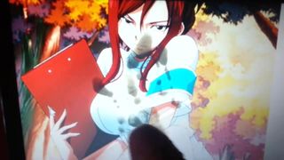 Sop en Erza Scarlet de Fairy Tail