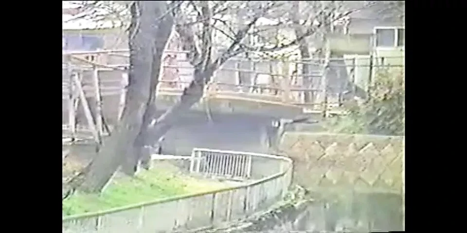 JPN Vintage Video(hitoyo no yume)