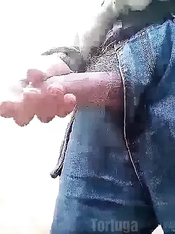grandpa turtle