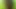 Whore's FanTasme. Exhibited👀in the Forest of Brunoy91 [³June²⁵] CuMSLuT in search of Sperm offerings in Public VaneSsaBiTCHx