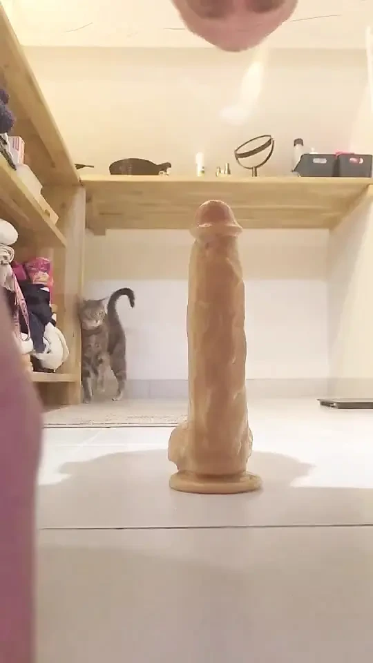 Solitary Pleasure