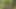 Daddy Getting Fucked in the Forest