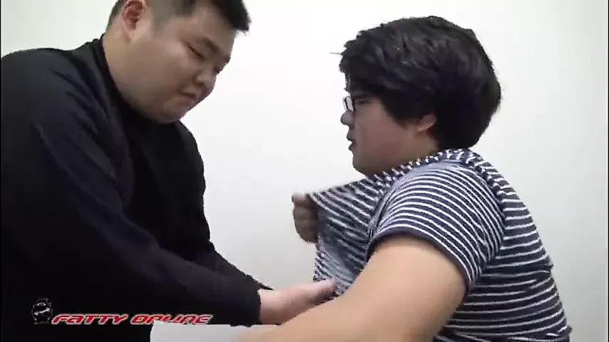tombul japon ayı