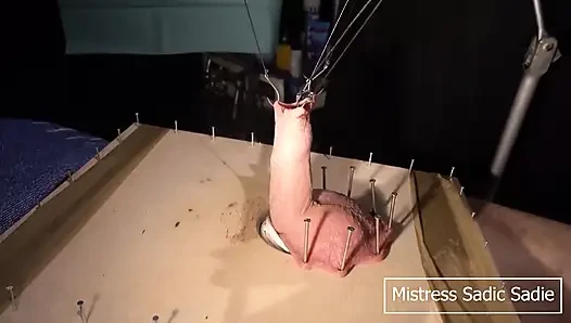 Хардкорный пытка яиц и члена с рыбными крюками и иголками, часть первая