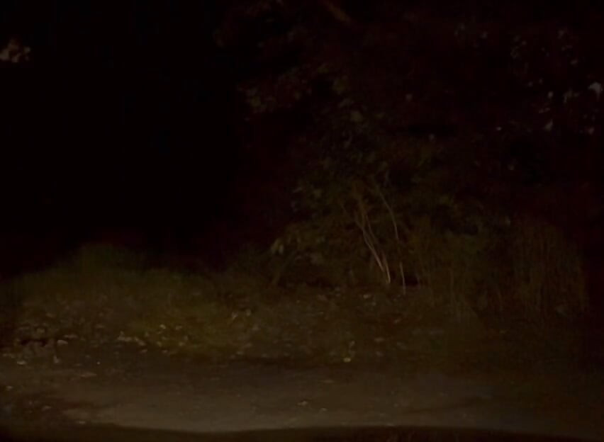 Wanking naked outside in road , few cars pass