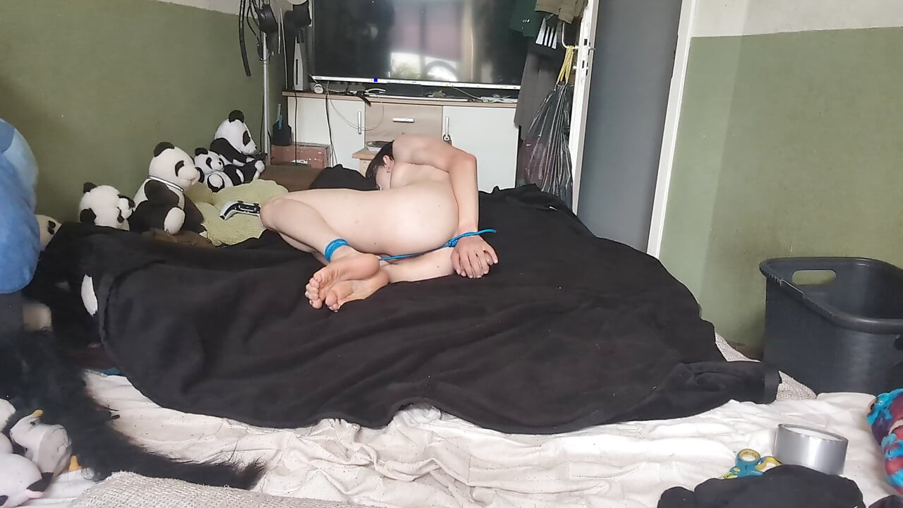 struggling around in a hogtie