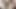 Riding dildo and precum drooling out gay bisexual shemale lover