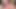 Andylynn Payne Cum Collection