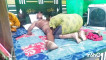 Pregled videozapisa