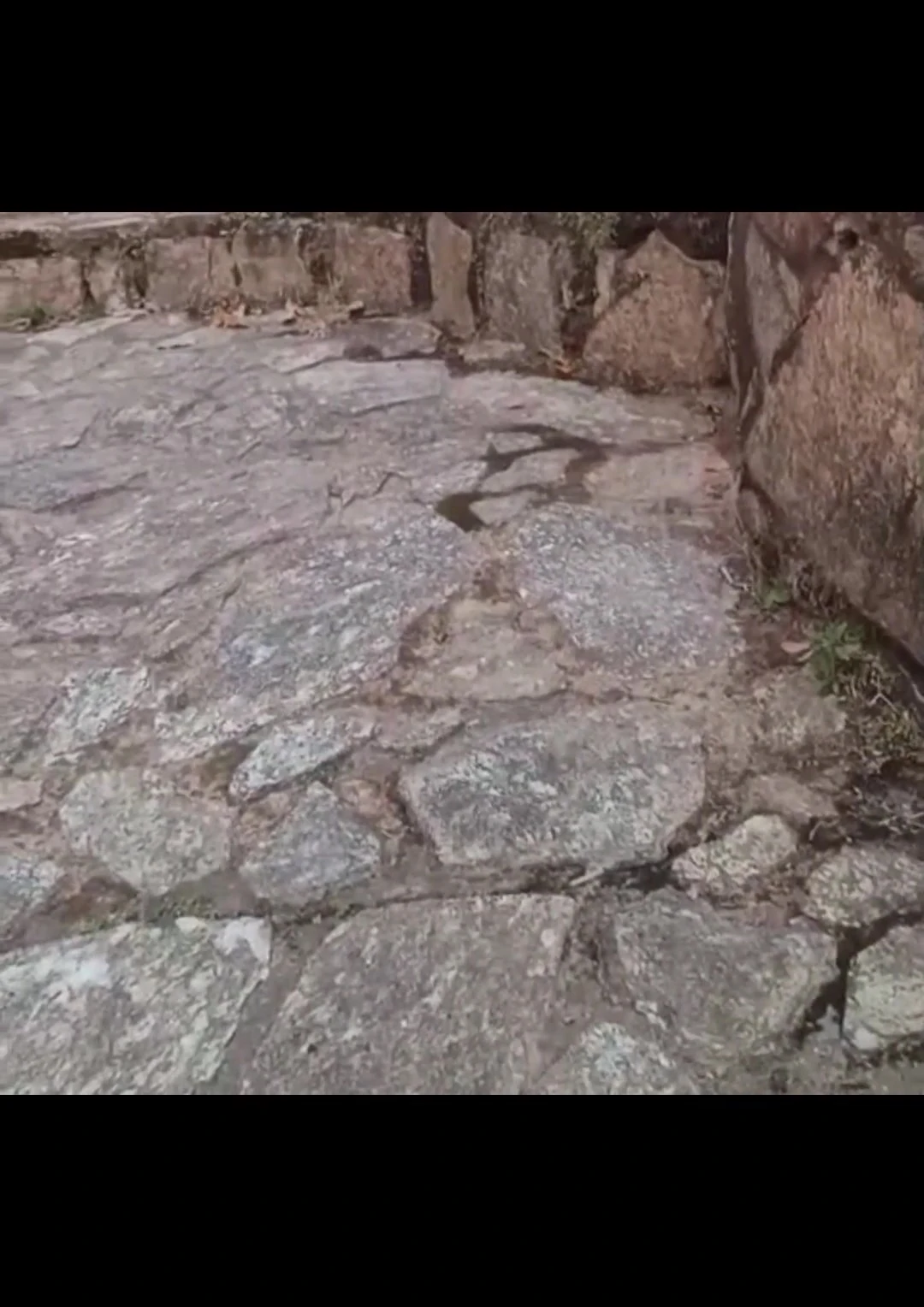 Ateşli Brezilyalı latin muse anal tıkaçla açık havada eğlencenin tadını çıkarıyor