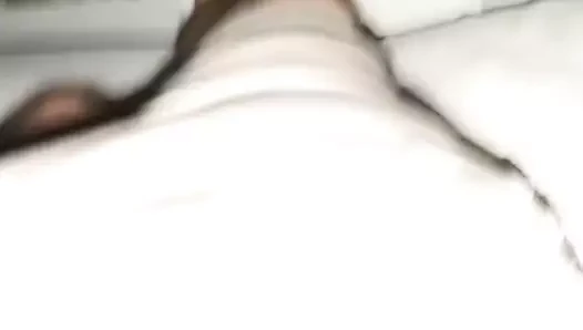 Mi sego