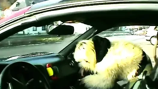 Blondine lutscht schwanz und fingert dann ihre nasse muschi