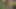 Deneyimli trans hatun ıslak anal sekste genişliyor