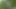 Horny Latina Deepthroats in Park Grass and Gets Her Pussy Hardcore Hammered!