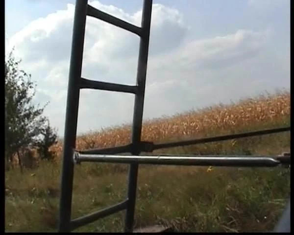 Wanking a ladder