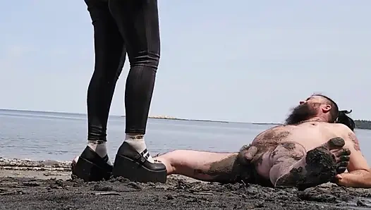 Gaspesie Cock Trampling