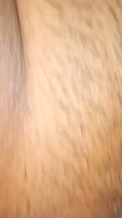 Neha indian village girl condom penis pucking cumshot on pussy | Clip 2