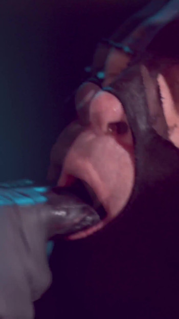 Domnișoara Paris își domină sclavul, futai în gât cu dopul de fund