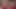 Christmas morning masturbation and cum by the tree