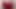 タイド・ティッツ・バニーマスク