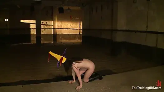 Dolly Meats 2. gün sorgulama, otk ve yoğun bir süspansiyon