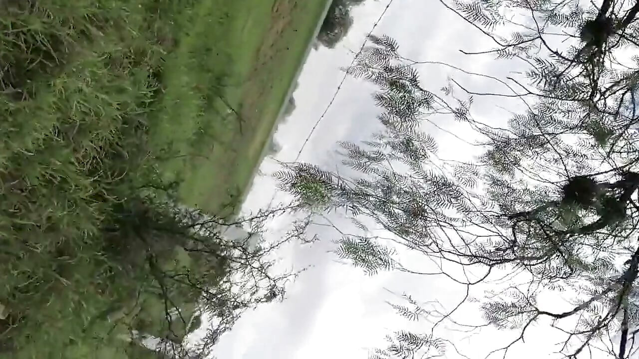 公路边缘