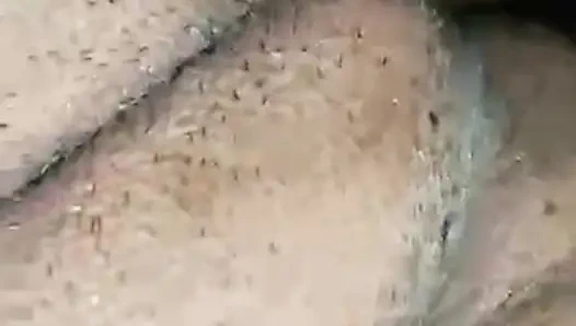 hot desi bhabi enjoy doggy close up