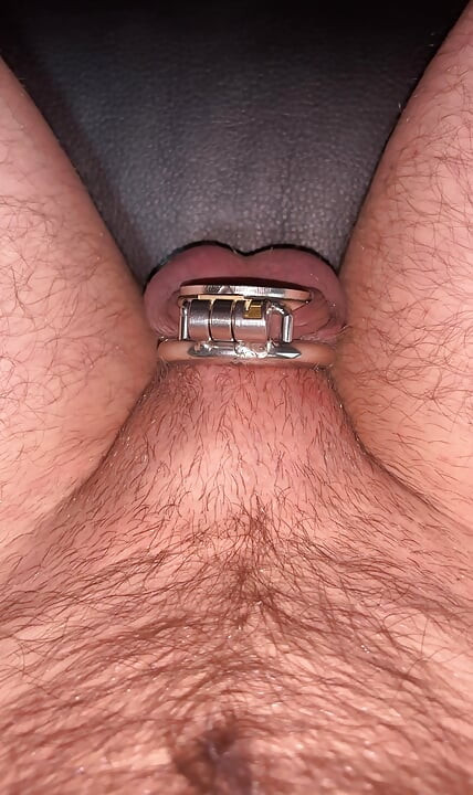 Putting big dick in flat chastity cage with penis plug