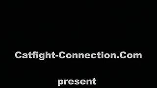 Catfight-Connection