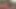Cassidy Clay shaved to be ready for wild sex