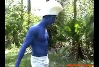 The Smurfs