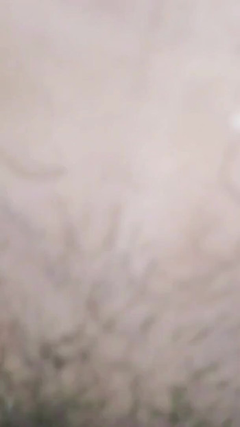Jaw-dropping moment from "Crot many times the same popcorn after being massaged"