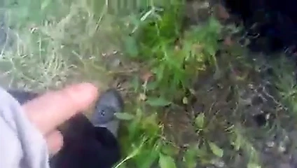 ormandayım...