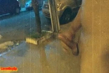 Пригоди бразильського хлопця