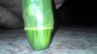 Harig mietje laat zien hoe je op een komkommer moet rijden
