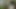 Wanita kerjaya Itali menghantar video lucah - skandal 90-an pada vhs