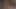 Yeni arkadaş yakından görünüm