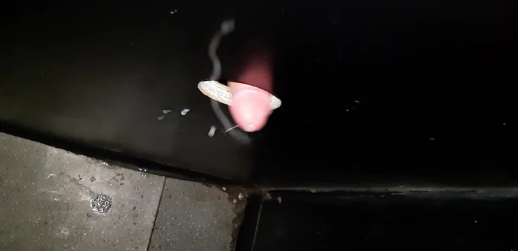 gloryhole cum